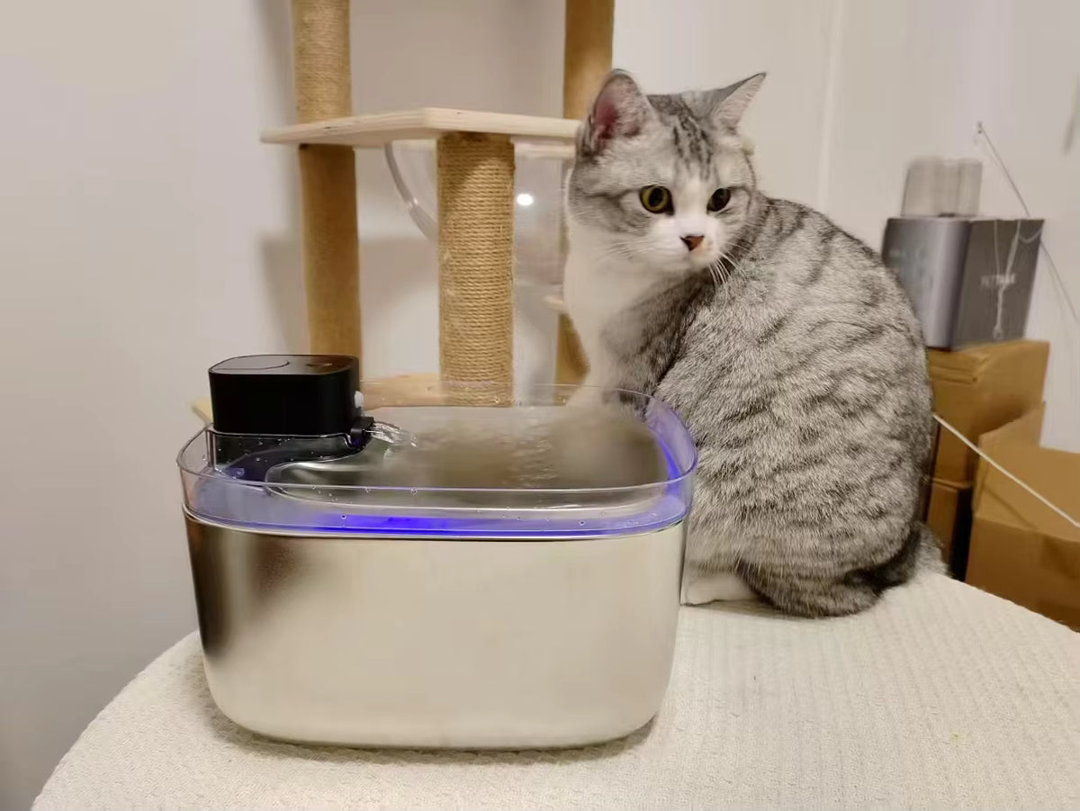 Purr Flow™