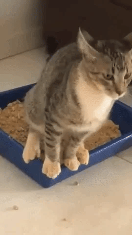 Smart Litter Pro™ Cleaner