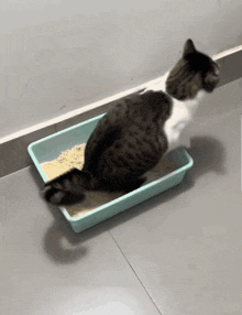 Smart Litter Pro™ Cleaner